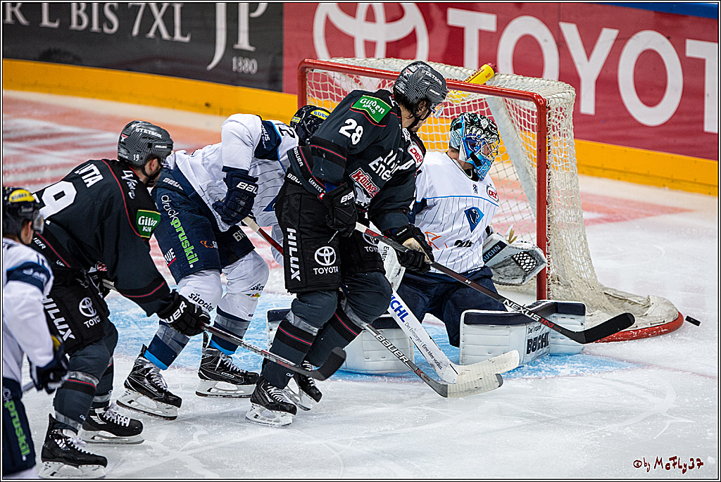 Koelner Haie - ERC Ingolstadt, 23.10.2016